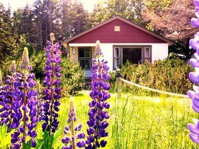 Goodview Cottages By Stanhope Beach Pei For Adults Only Exterior photo