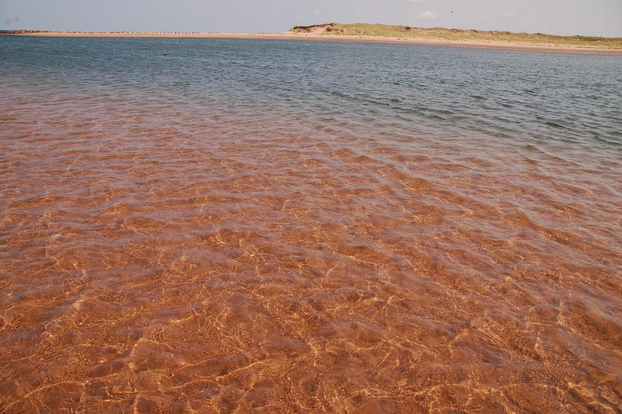 Goodview Cottages By Stanhope Beach Pei For Adults Only Exterior photo