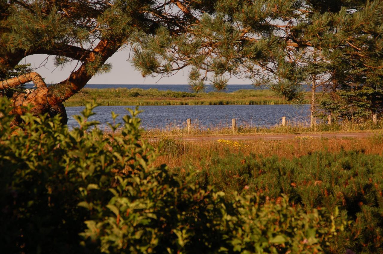 Goodview Cottages By Stanhope Beach Pei For Adults Only Exterior photo